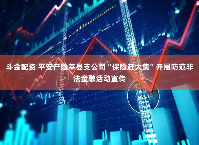 斗金配资 平安产险莘县支公司“保险赶大集”开展防范非法金融活动宣传