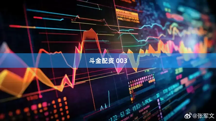 斗金配资 003